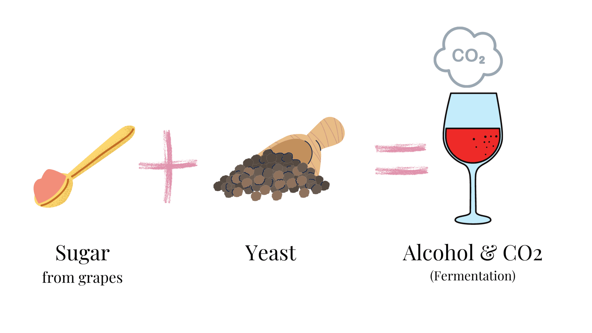 Dry White Wine Guide - Equation 15 2048x1152