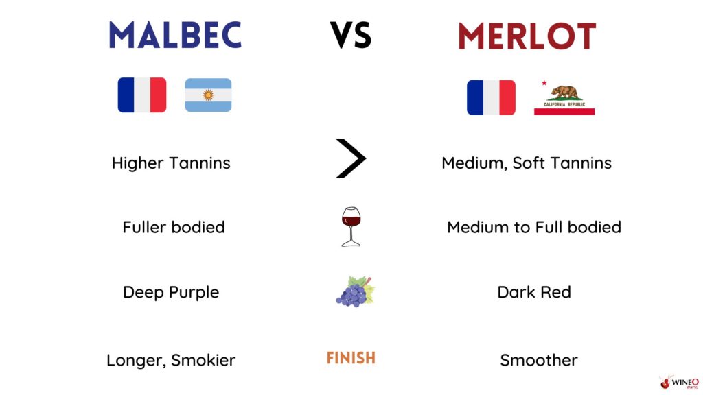 Malbec vs Merlot: How to Choose Between these Two Red Wines — Aridus