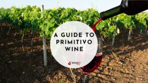 primitivo wine