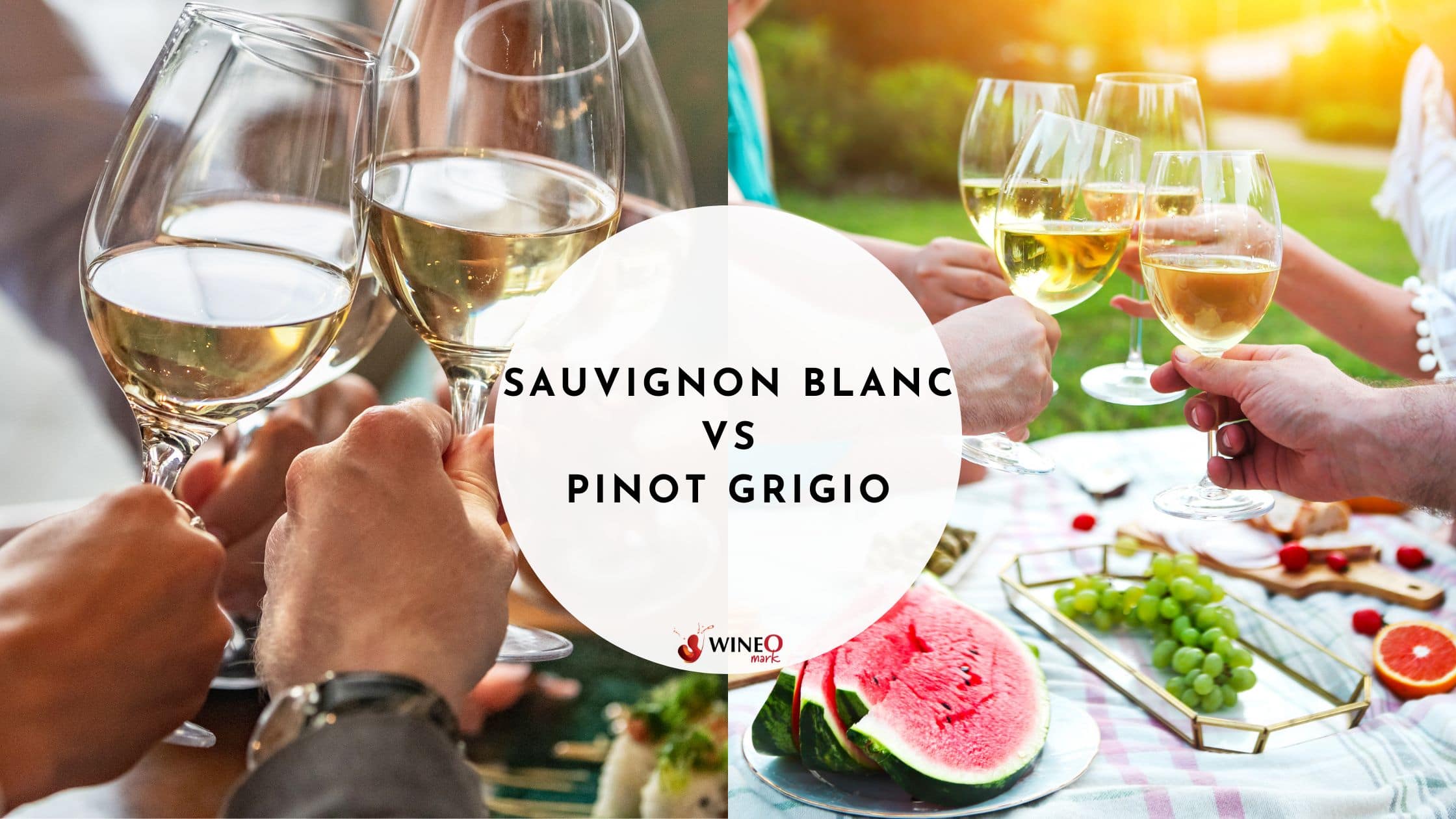 Sauvignon Blanc Vs Pinot Grigio Which One Should You Choose