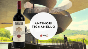 Antinori Tignanello