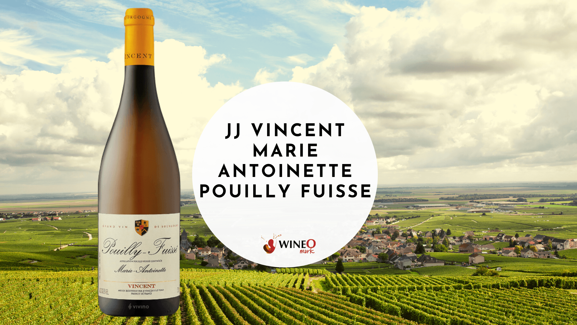 JJ Vincent Marie Antoinette Pouilly Fuisse - WineO Mark Review