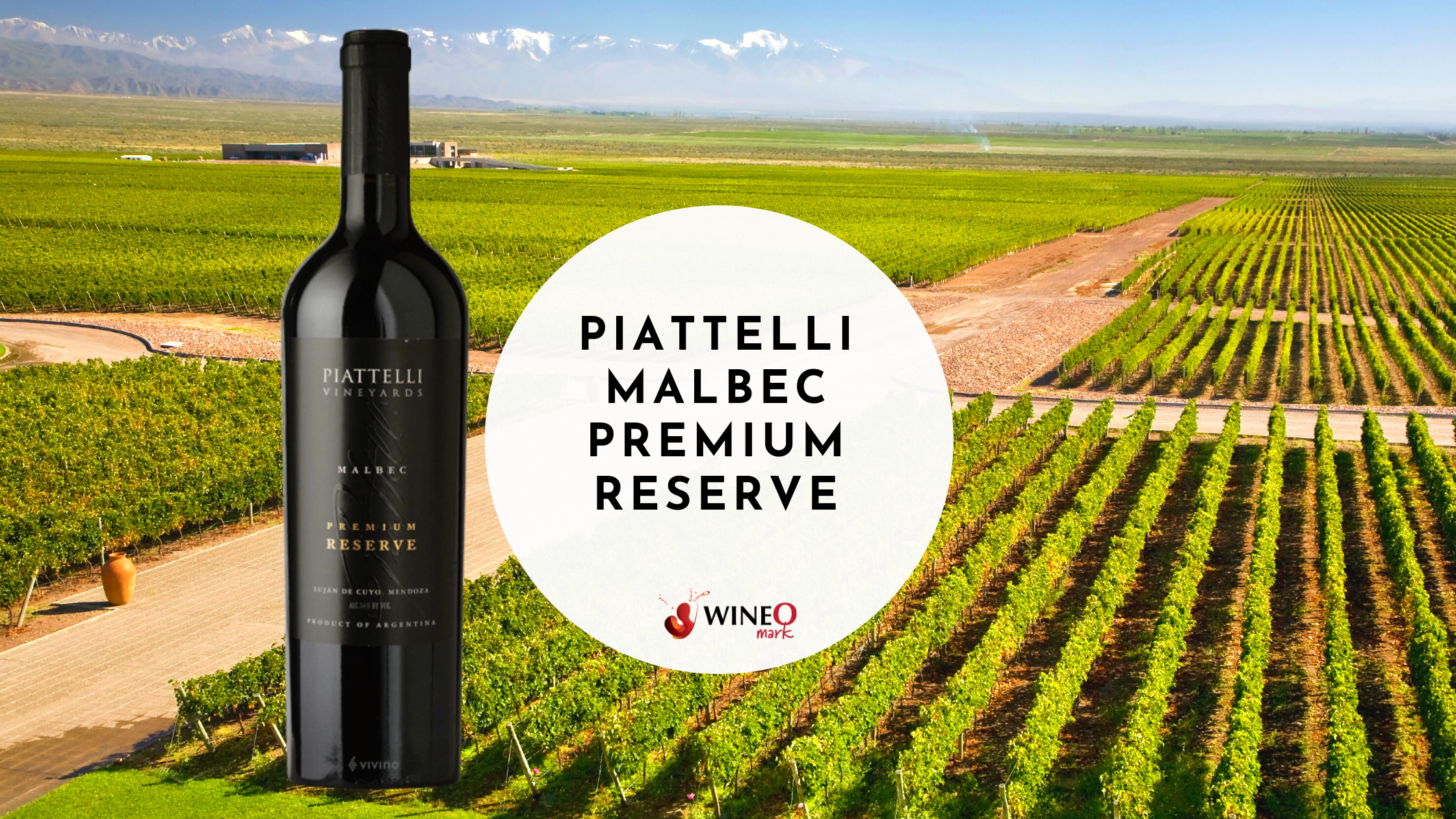 Piattelli malbec cheap