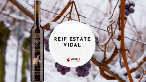 Reif Estate Vidal