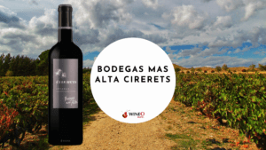 Bodegas Mas Alta Cirerets