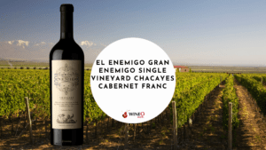 El Enemigo Gran Enemigo Single Vineyard Chacayes Cabernet Franc