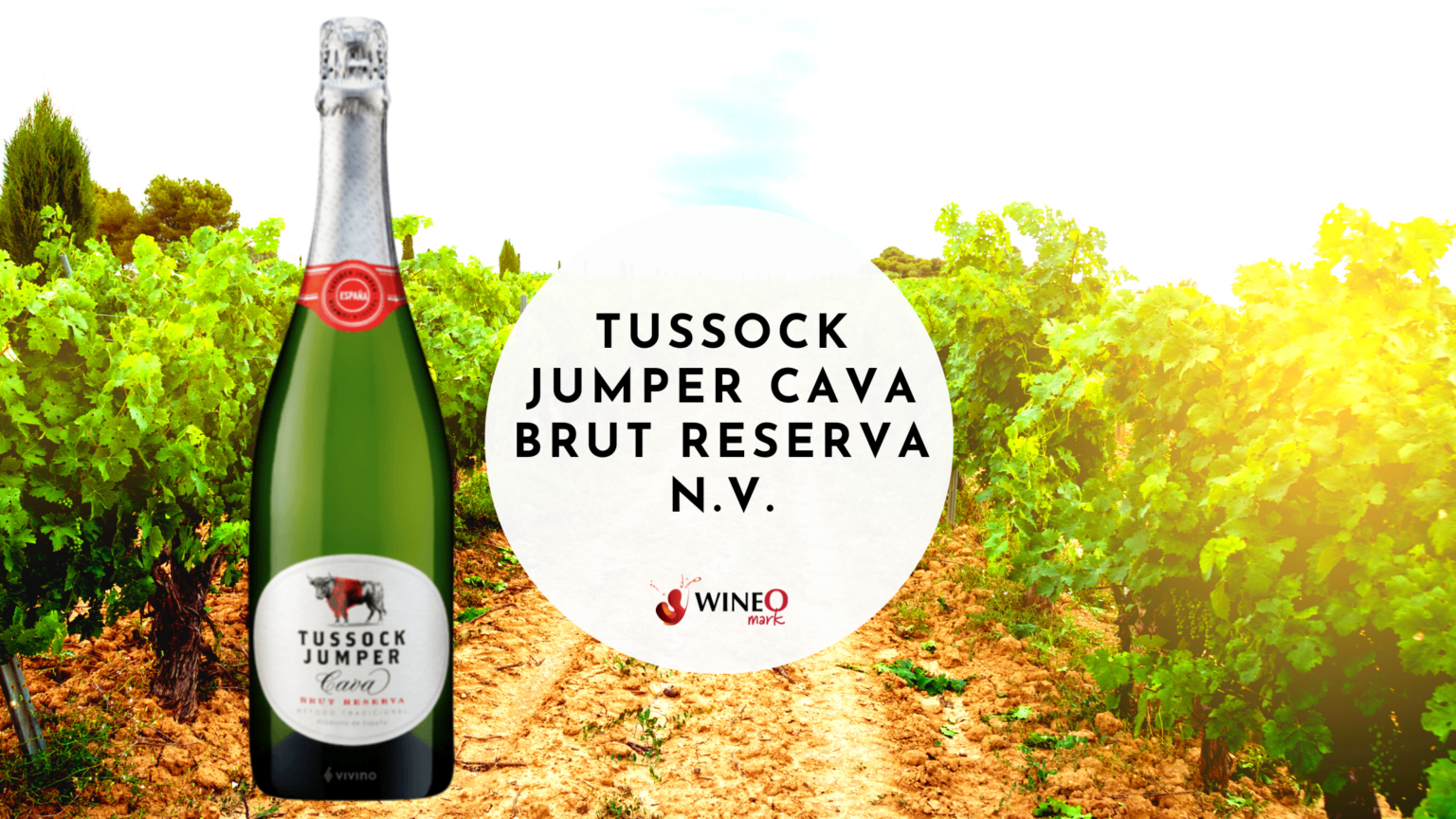 Tussock Jumper Cava Brut Reserva N V WineO Mark Review