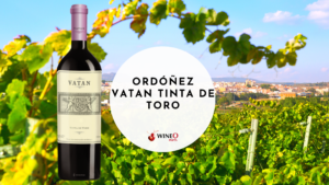 Ordóñez Vatan Tinta de Toro