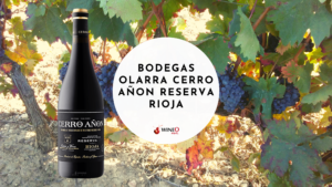 Bodegas Olarra Cerro Añon Reserva Rioja