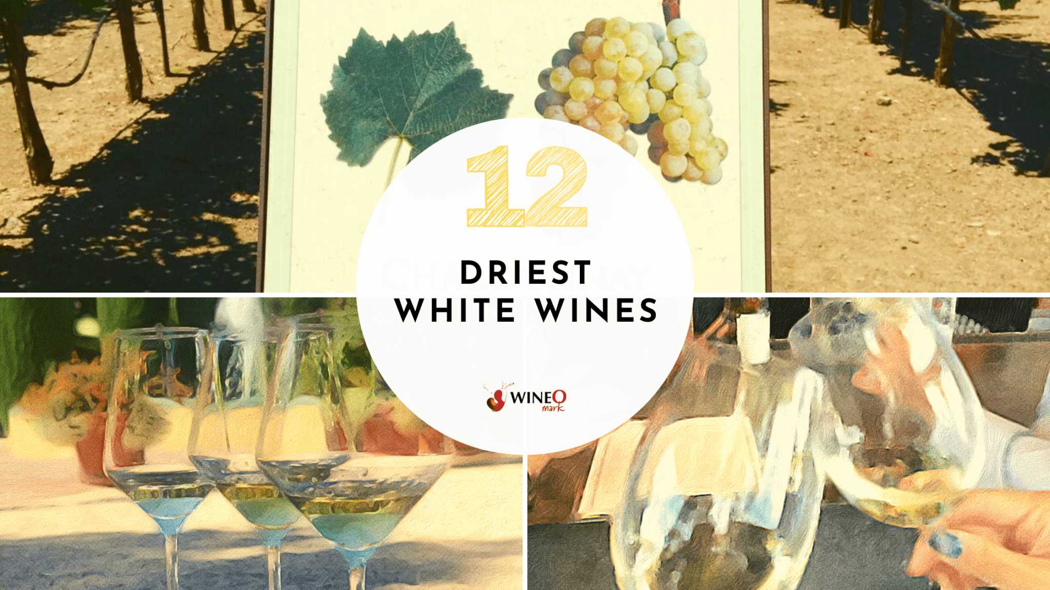 what-is-the-1-driest-white-wine-top-12-driest-white-wines